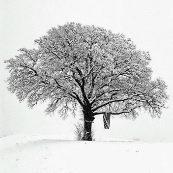 Frozen Glory 10x10